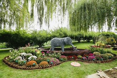 2021年北京秋季新優(yōu)花卉品種展示推介會開幕