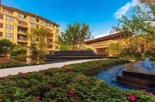 植物景觀丨這些樹種出來的藝術(shù)